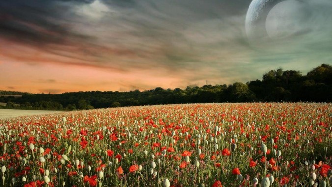 为什么大家不再提星链了（包括外网）？